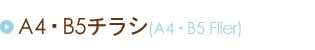 Ａ４・Ｂ５チラシ